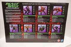 Transformers Beast Wars 30th ANNIVERSARY Predacon Figure Collection 7-Pack