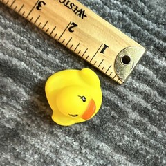 Rubber Duck Mini Lot Of 5 Decor Car Home Cruise Jeep Ornament Cute Ducky 1.25 in