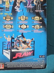 Jakks WWE Best Of ECW Rob Van Dam RVD Wrestling Action Figure New Box Damage