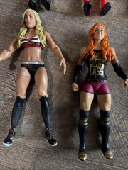 Wwe Women’s Wrestling Figure Lot. Sasha, Becky Lynch, Charlotte Flair, Bailey