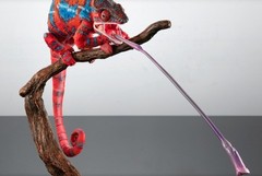 Living Creatures Encyclopedia Premium Panther Chameleon Ambilobe red Japan