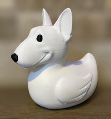 Bull Terrier Duck