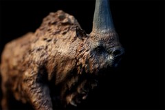 TNG Elasmotherium Sibiricum Model Huge Rhinos Animal Figure Decor Xmas Gift