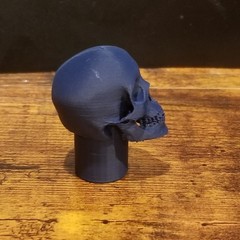 Custom 3d printed 1/6 skull head sculpt in multiple colors