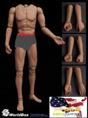 WorldBox 1/6 seamless forearm arm set AT020 S C for AT011 AT025 AT020 Body ❶USA❶