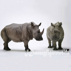 MEMORY MUSEUM 1/15 Africa White Rhinoceros Statue GK Painted Animal Model Decor