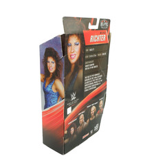 Wendi Richter WWE Elite Collection Network Spotlight Wrestling Distressed Box