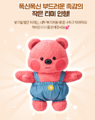 2024 NEW KONGSUNI YoungToys Character Dol-Timi Small Size/korea