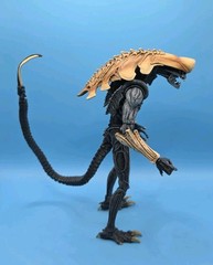 NECA Alien VS Predator Chrysalis Alien Action Figure 2019 Fast Shipping !!!
