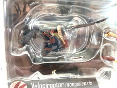 Beasts of the Mesozoic Velociraptor mongoliensis (black) 1/18th Scale Figure