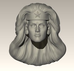 Amazon Lady Custom Action Figure Head 1:9 or 1:6 Mego