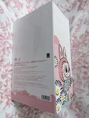 Pop Mart Labubu Mokoko Close to Sweet Vinyl Plush Doll PopLand Exclusive New
