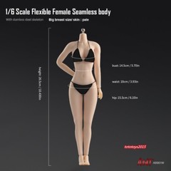 1:6 Female Pale Skin Large Bust Breast Figure Flexible Seamless 12 inch Body Toy
