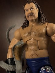 Exclusive! WWE Elite Legends Series 13 Jake The Snake Roberts 100% Complete! WWF