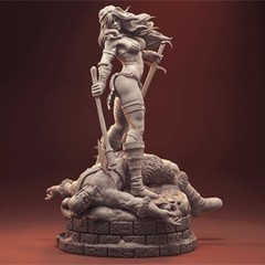 1/6 37cm Red Sonja 3D print figure Model Kit Unpainted Unassembled Garage Kit