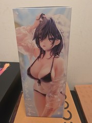 Ishimi Yokoyama 1/6 Scale Bikini Figure