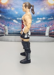 WWE Mattel Elite Collection Ringside Exclusive Defining Moments Rob Van Dam RVD