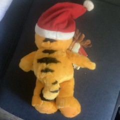 Garfield & Odie Macy’s 25 Years Christmas Plush Cat Dog 18″ Book Included