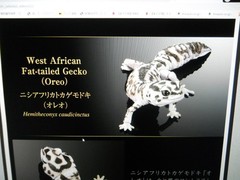 Living Creatures Great Encyclopedia Advance SELECTED EDITION 02 (New Color Armad