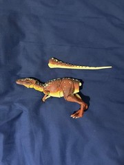 Beasts Of The Mesozoic Alectrosaurus | READ DESCRIPTION!