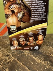 WWE ELITE LEGENDS JAKE THE SNAKE ROBERTS FIGURE WWF NWA WCW NWO RETRO HASBRO LJN