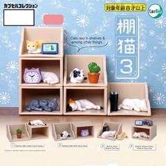 Book Shelf Cat Mini Mystery Japanese Blind Box Gacha 1 Random Capsule Figure