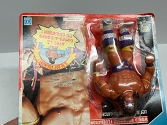 1991 WWF Hasbro ULTIMATE WARRIOR action figure (French carded)