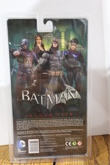 DC Collectibles Batman Arkham City Series 4 Talia Al Ghul Action Figure NIB 2013