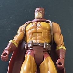 Catman Legacy Edition DC Universe Batman Adult Collector 6” Action Figure Loose!