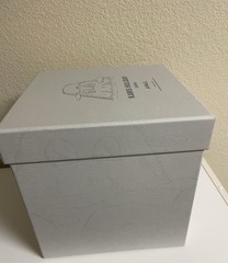 KAWS HOLIDAY JAPAN 2019 Mount Fuji Gray Plush AUTHENTIC W/ Box LIMITED EDITON