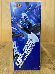 Bandai DX Chogokin Macross VF-25G Messiah Valkyrie Michael Blanc Renewal Version