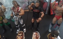 WWE Mattel Legends Series #17 Shamrock w/Chase HBK AJ Styles Ultimate Warrior
