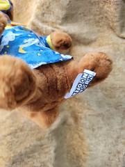 Cartoon Network SCOOBY-DOO DOG WIZARD 14″ Plush Toy Sleepy Time Pajama