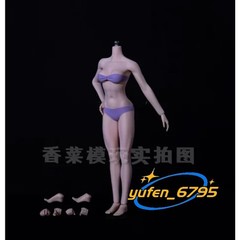 1/6 TBLeague Phicen S18A S19B S20A S21B SSteel Skeleton Seamless Suntan Mid Bust