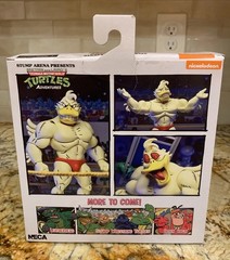 NECA Teenage Mutant Ninja Turtles TMNT Stump Arena Wrestling Ace Duck Figure NEW