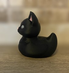Cat Duck – Black – Jeep Ducking Gift – Cruises – Collect