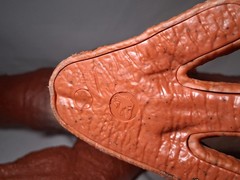 Jurassic World Camp Cretaceous Super Colossal Carnotaurus Toro Dinosaur Toy