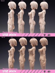 86TOYS T86-ST02-A 1/12 Pale Skin Medium Bust 6″ Female Figure Head Body Dolls