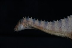 PNSO Lingwulong 63 Model Jurassic Dinosaur Animal Collections Figure Toys Gift