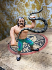 WWF Jake the Snake Roberts with Damien Hasbro Series 1 Figure WWE 1990