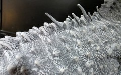 CUSTOM Jurassic World Hammond Collection Indominus Rex Figure