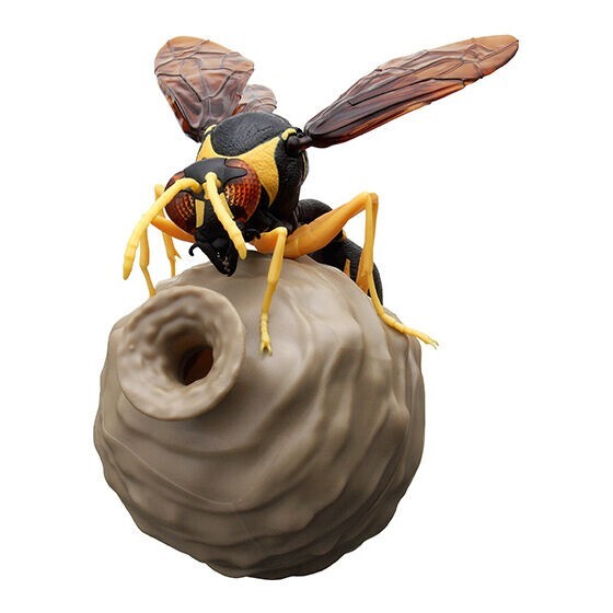 The Diversity of Life on Earth Potter Wasp Action Figure Bandai Capsule Toy