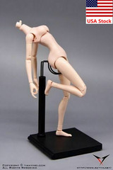 1/6 Female Pale Skin Flexible Joint Body Mid Bust for 12″Action Figure Model