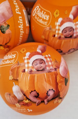 zuru my mini baby pumpkin patch unopened 1 blind ball