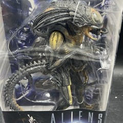 NECA Aliens vs. Predator: Requiem Alien Warrior 2007 Action Figure Boxed 8in
