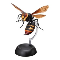 The Diversity of Life on Earth Potter Wasp Action Figure Bandai Capsule Toy
