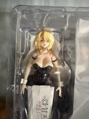 Sushiworks 1/12 Bunny Rapid Action Squad Guardian Erena