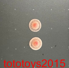 US 1/6 Nipple Breast Chest Bottom Patches Props Fit 12″ Female Figure Body toy