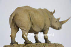 MEMORY MUSEUM 1/15 Africa White Rhinoceros Statue GK Painted Animal Model Decor