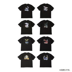 Pokemon Center Pokemon Game Package Collection 30th Anniv. Goods New Japan